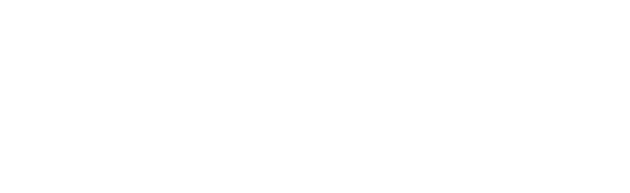 Sport-Veranstalter logo